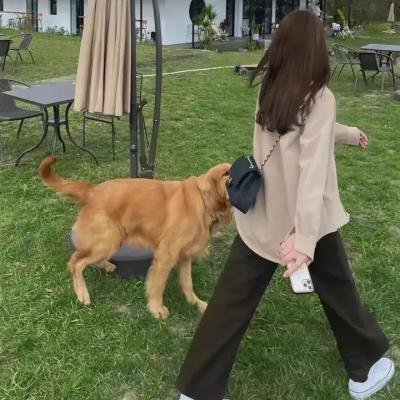 天网情网