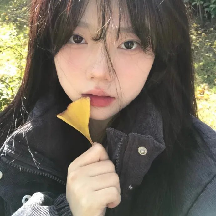 夏日福星粤语